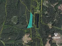Prodej lesa, Veliny, 10334 m2
