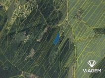Prodej lesa, Česká Třebová, 3842 m2