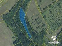 Prodej podílu pole, Veselíčko, 510 m2