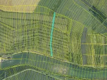 Prodej pole, Morkůvky, 4651 m2