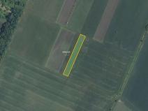 Prodej pole, Novosedly, 9816 m2