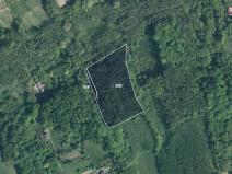 Prodej lesa, Doubrava, 10811 m2