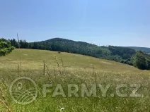 Prodej louky, Těchonín, 113108 m2