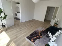 Prodej bytu 2+kk, Praha - Krč, Sládkovičova, 38 m2