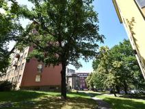 Pronájem bytu 2+kk, Praha - Žižkov, Hartigova, 36 m2