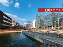 Pronájem kanceláře, Brno, 646 m2