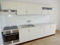 Pronájem bytu 1+1, Brno, Palackého třída, 55 m2