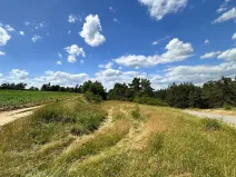 Prodej lesa, Tasov, 24443 m2