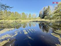 Prodej rybníku, Rychnov nad Kněžnou - Lipovka, 5965 m2