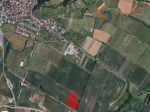 Prodej pole, Mikulov, 55004 m2