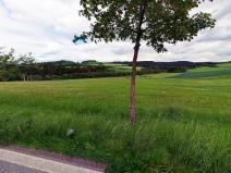 Prodej louky, Jimramov, 19694 m2