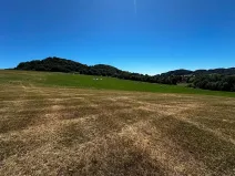 Prodej louky, Nový Jičín, 10482 m2