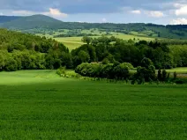 Prodej komerčního pozemku, Králíky, 12500 m2