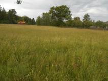 Prodej pozemku, Rybniště, 5198 m2