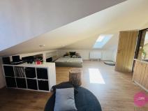 Pronájem bytu 1+kk, Olomouc, Uhelná, 40 m2