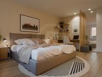 Prodej bytu 1+kk, České Budějovice, Šroubárenská, 41 m2