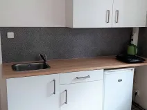 Pronájem bytu 1+kk, Plzeň, Pod Záhorskem, 20 m2