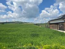 Prodej pozemku pro bydlení, Stařeč, Polní, 1281 m2