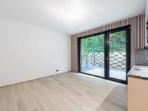 Pronájem bytu 1+kk, Praha, Na Zlíchově, 27 m2