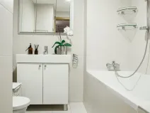 Pronájem bytu 1+kk, Praha - Žižkov, Ke kapslovně, 52 m2