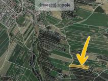 Prodej lesa, Trnava, 4245 m2