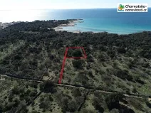 Prodej lesa, Novalja, Chorvatsko, 1080 m2
