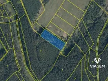 Prodej podílu lesa, Bělá pod Bezdězem, 824 m2