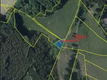 Prodej lesa, Střítež pod Křemešníkem, 608 m2