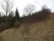 Dražba louky, Hradec nad Svitavou, 683 m2