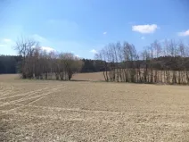 Dražba louky, Pec, 5703 m2