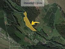 Prodej louky, Brzice - Žďár, 4230 m2