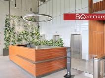 Pronájem kanceláře, Brno, Lazaretní, 900 m2