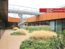 Pronájem kanceláře, Brno, Lazaretní, 900 m2