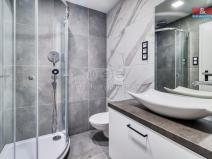 Pronájem bytu 2+kk, Plzeň - Východní Předměstí, Rychtaříkova, 28 m2
