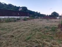 Pronájem zahrady, Plzeň, Pod Vinicemi, 1001 m2
