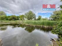 Pronájem rybníku, Žleby - Zehuby, 6119 m2