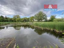 Pronájem rybníku, Žleby - Zehuby, 6119 m2