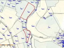 Prodej lesa, Mladé Bříště, 8461 m2