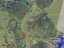 Prodej lesa, Mladé Bříště, 8461 m2