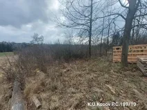 Prodej lesa, Jihlava, 1015 m2