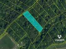 Prodej lesa, Hněvošice, 2434 m2
