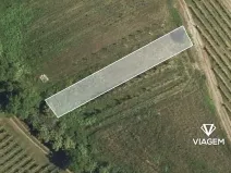 Prodej zahrady, Velké Bílovice, 388 m2