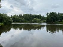 Prodej chalupy, Chřibská, 200 m2