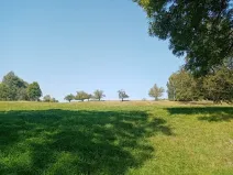 Dražba louky, Kunratice, 12882 m2