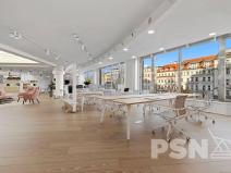 Pronájem obchodního prostoru, Praha - Nové Město, Václavské náměstí, 475 m2