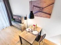 Pronájem bytu 1+kk, Praha - Žižkov, Seifertova, 31 m2