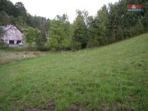 Prodej louky, Janův Důl, 2494 m2
