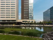 Pronájem kanceláře, Brno, Holandská, 250 m2