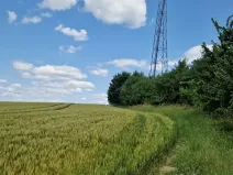 Prodej pole, Bílá Lhota, 1851 m2