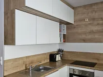 Pronájem bytu 1+kk, Český Těšín, Tovární, 40 m2